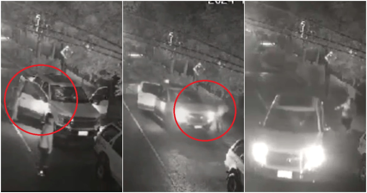 Vecino enfrentó a ladrón para frustrar portonazo en La Florida: no logró cometido y robaron camioneta