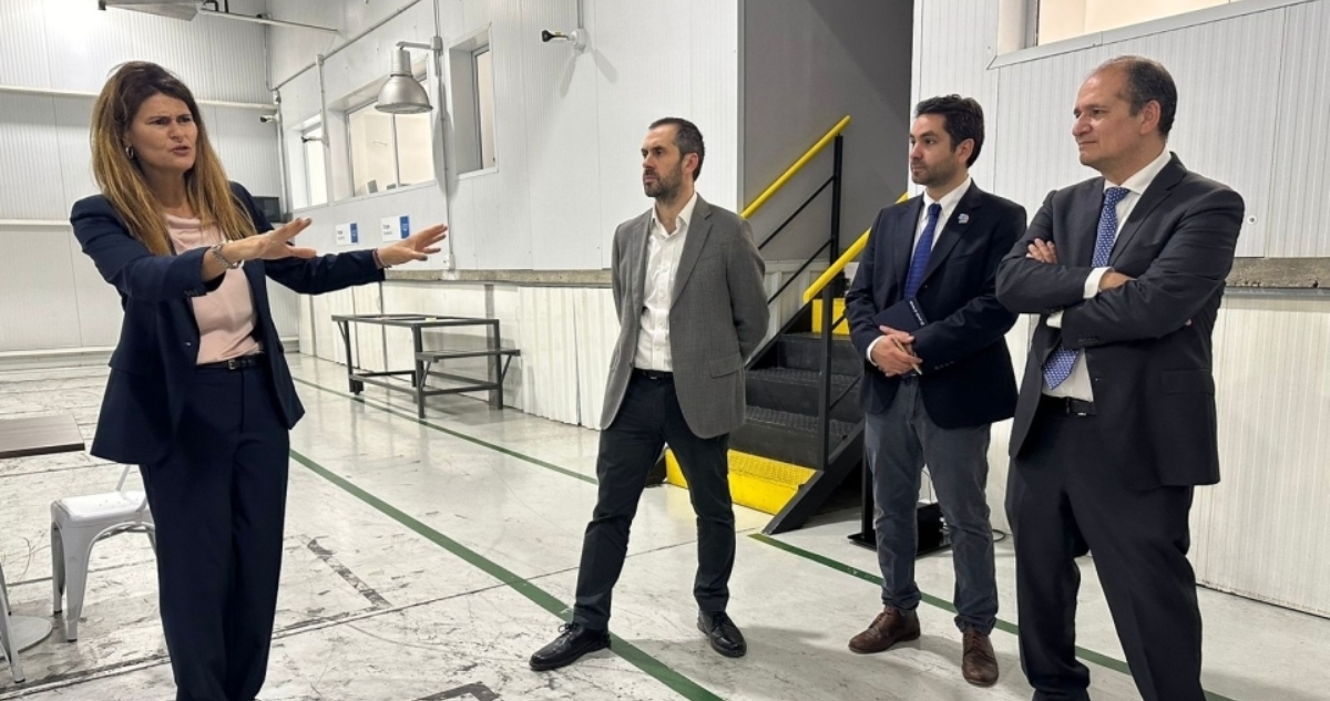 Viaje a Neuquén para buscar acelerar importación de gas a menor precio al bío bío