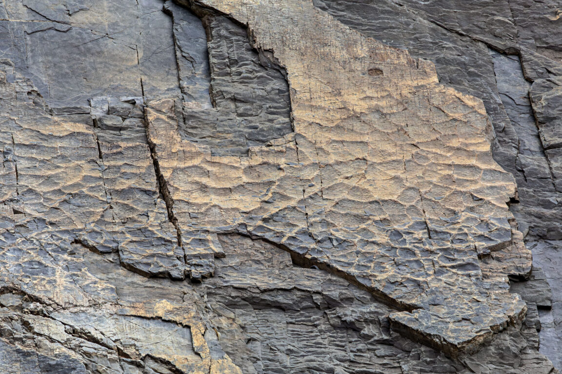 Rocas de los Alpes donde se hallaron fósile