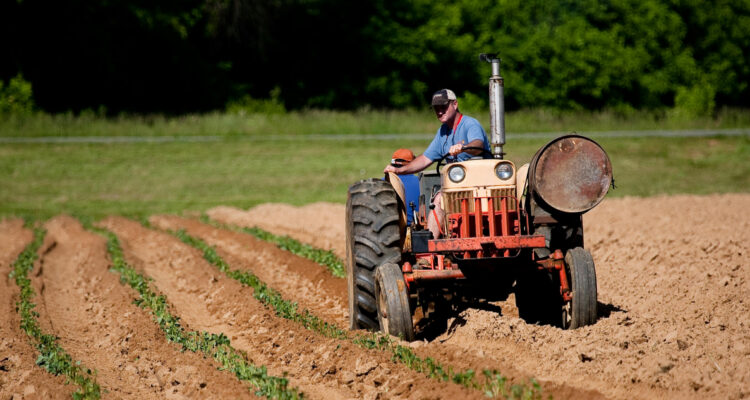 Suicidio agrícola: más de 100 mil agricultores se quitaron la vida en la India por escasez de cultivos