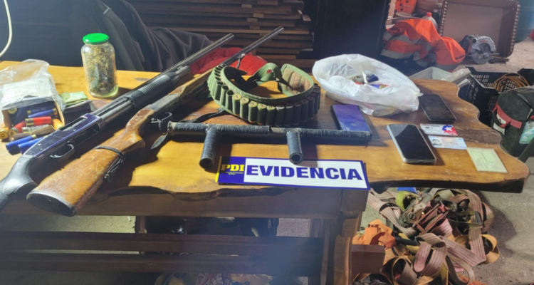 Desarticulan dos estructuras criminales dedicadas al robo de madera en Cunco: hay 8 detenidos