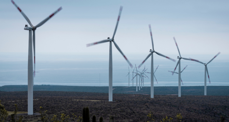 Ambientalistas se reúnen con parlamentarios alemanes por efectos negativos de parques eólicos