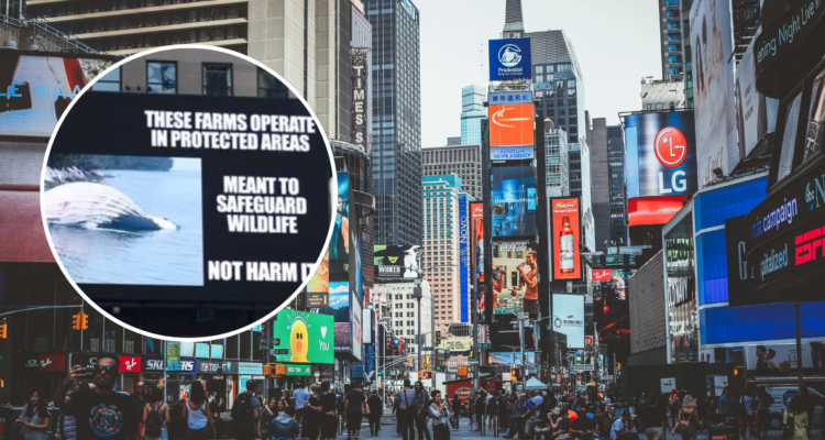 Ballenas muertas Time Square