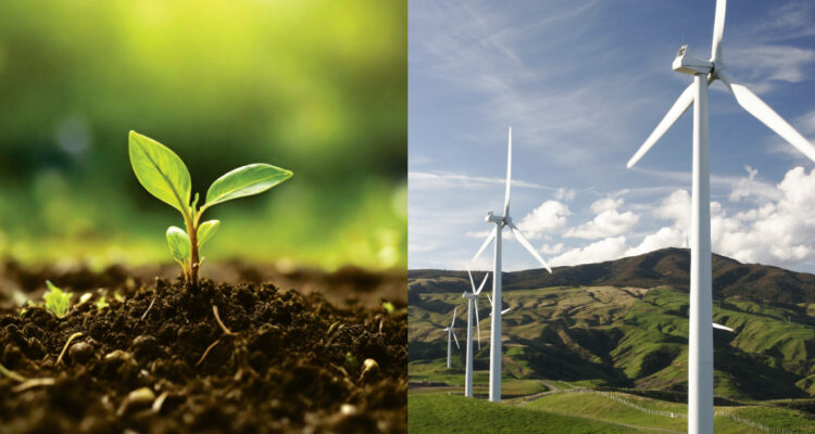 BancoEstado lanza plataforma ‘Impacto Verde’ con servicios financieros enfocados en sostenibilidad