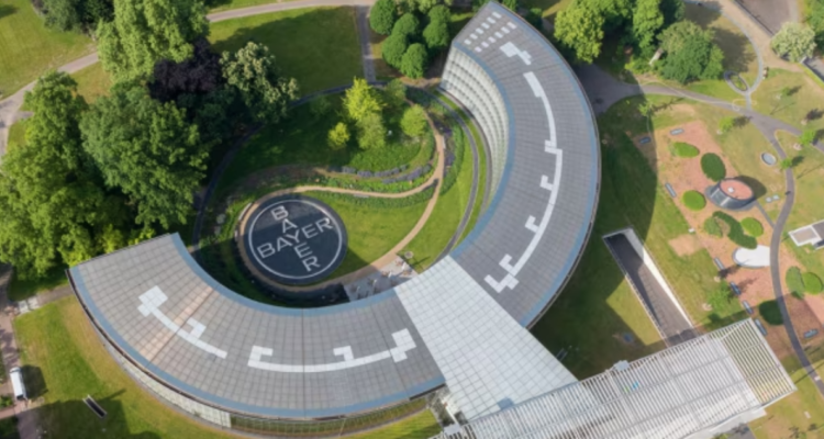 Bayer ha despedido a 5.500 personas en todo el mundo en lo que va del año, la mayoría directivos