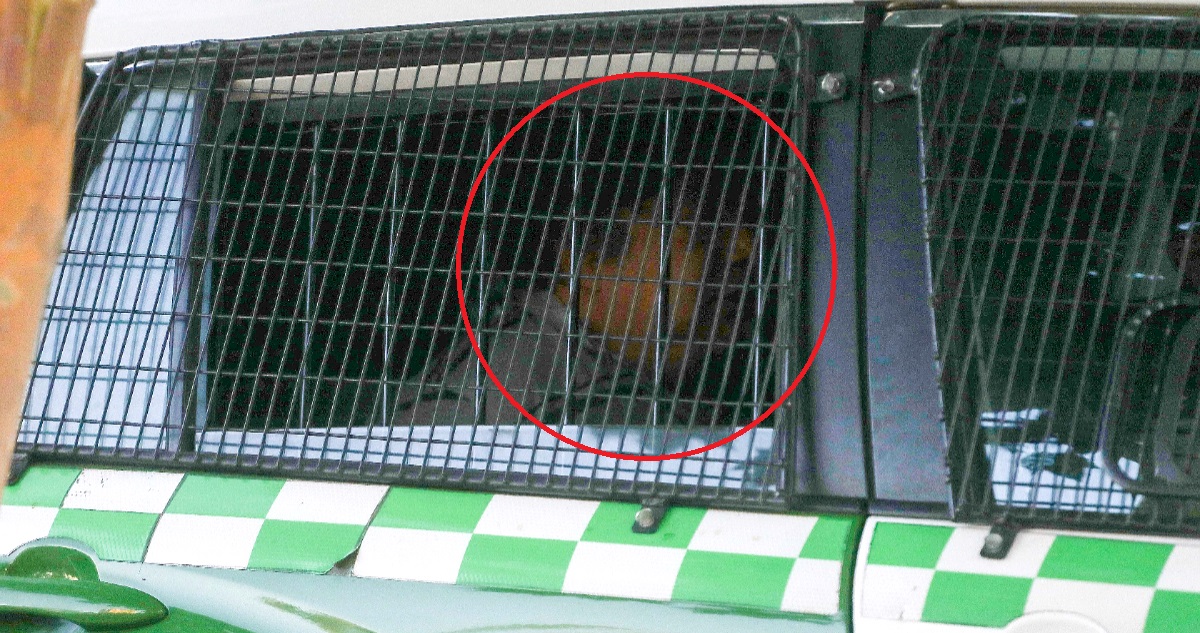BBTV capta momento del traslado en patrulla de hombre que mantuvo de rehén a trabajadora en Las Condes
