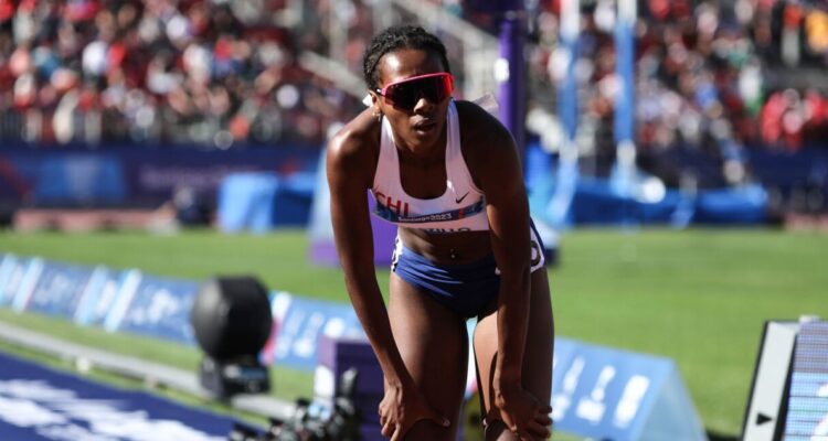 Berdine Castillo y su revés judicial en la Corte de Apelaciones en su recurso de protección contra CNAD