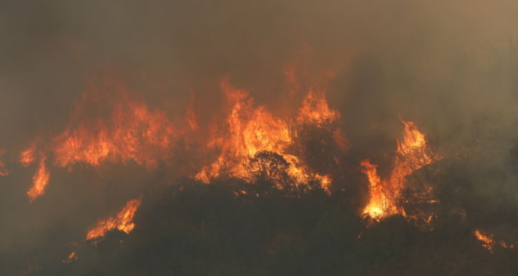 botón rojo incendios