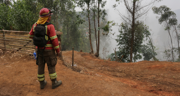 Brigadista de CONAF en estado grave en Valdivia: fue atropellado tras combatir incendio forestal