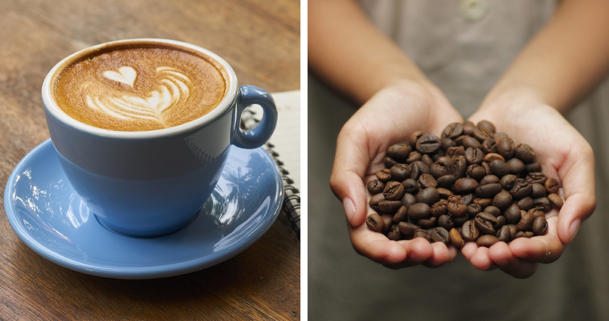 ¿Latte a precio de “oro”? Los precios del café suben y expertos advierten posible golpe al bolsillo