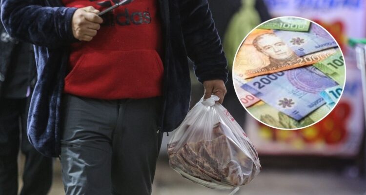 Cuáles son los 283 productos que conforman la canasta básica del INE para calcular la inflación y el Índice de Precios al Consumidor IPC en Chile.