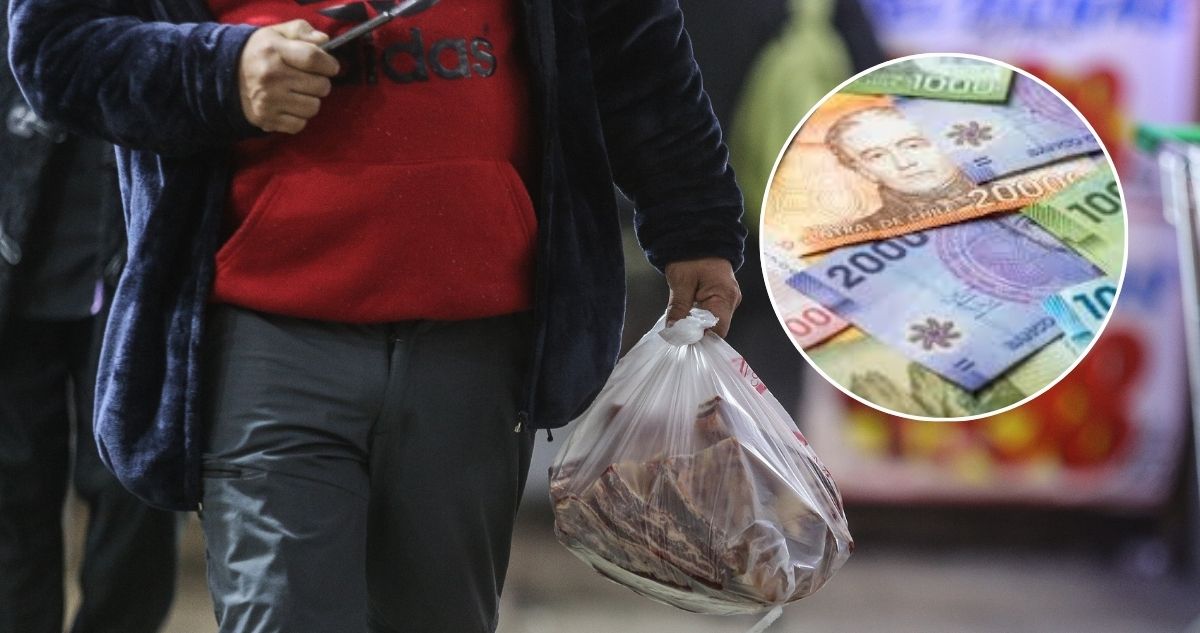 Cuáles son los 283 productos que conforman la canasta básica del INE para calcular la inflación y el Índice de Precios al Consumidor IPC en Chile.
