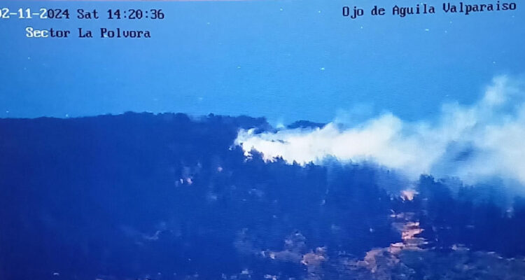 Bomberos de Valparaíso da por superada la emergencia por incendio forestal en sector Laguna Verde