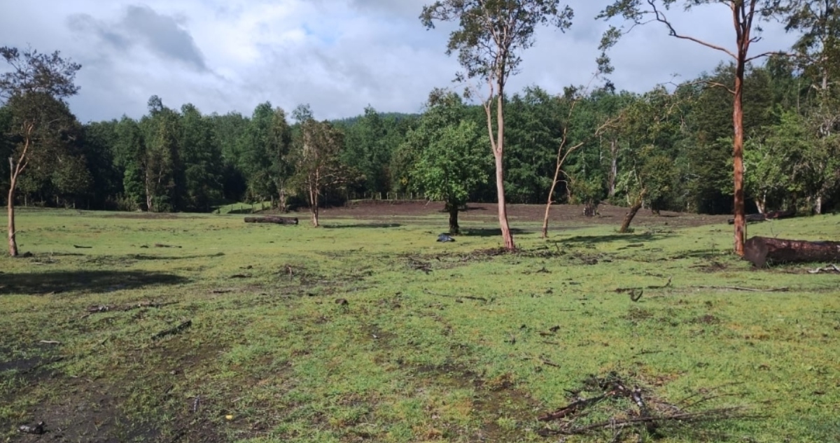 Cementerio indígena para comunidad mapuche de Lago Ranco