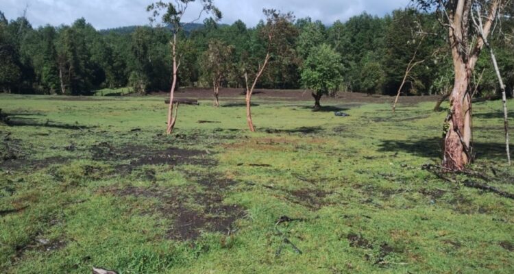 Falta de cierre perimetral impide implementación de cementerio indígena para comunidad de Lago Ranco