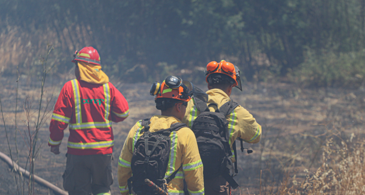 Estas son las 51 comunas que están con ’Botón Rojo’ por amenaza de incendios forestales