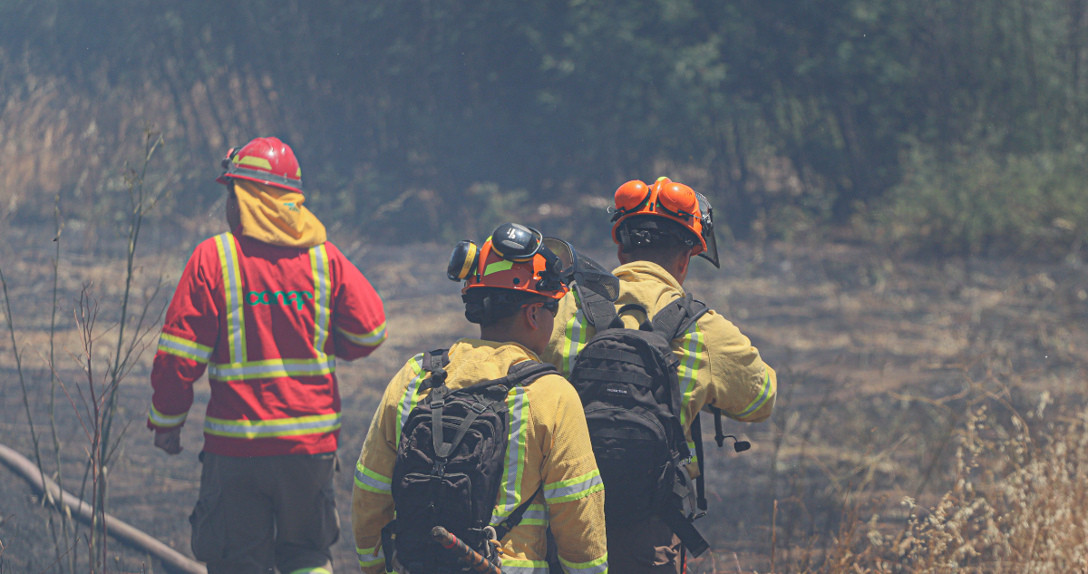 Estas son las 51 comunas que están con Botón Rojo por amenaza de ocurrencia de incendios forestales
