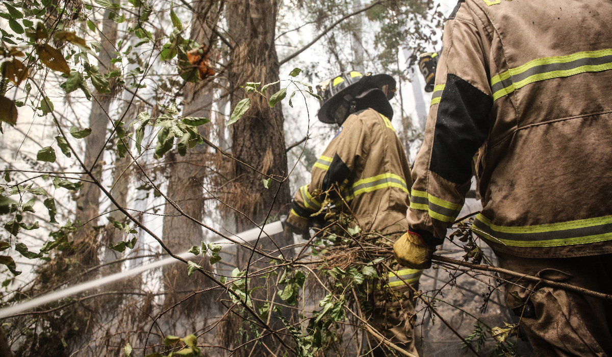 Control de incendios forestales