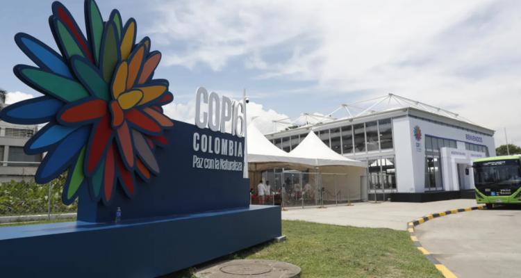 COP16 finaliza sin acuerdo sobre el financiamiento del plan para proteger la naturaleza