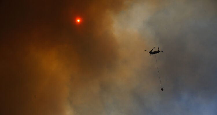 Alianza público-privada entre Conaf y empresas Corma busca fortalecer investigación por incendios