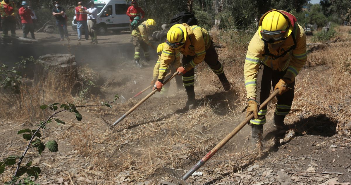 Lanzan plan de cortafuegos para construir más de 3.700 km de zanjas entre Tarapacá y Magallanes