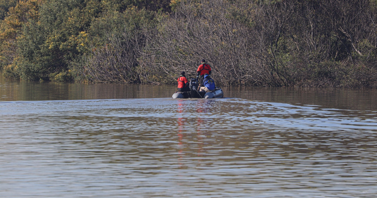 Encuentran cuerpo en río Iñaque de Los Lagos