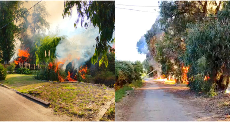 Declaran Alerta Roja en Colina por incendio forestal que amenaza infraestructuras