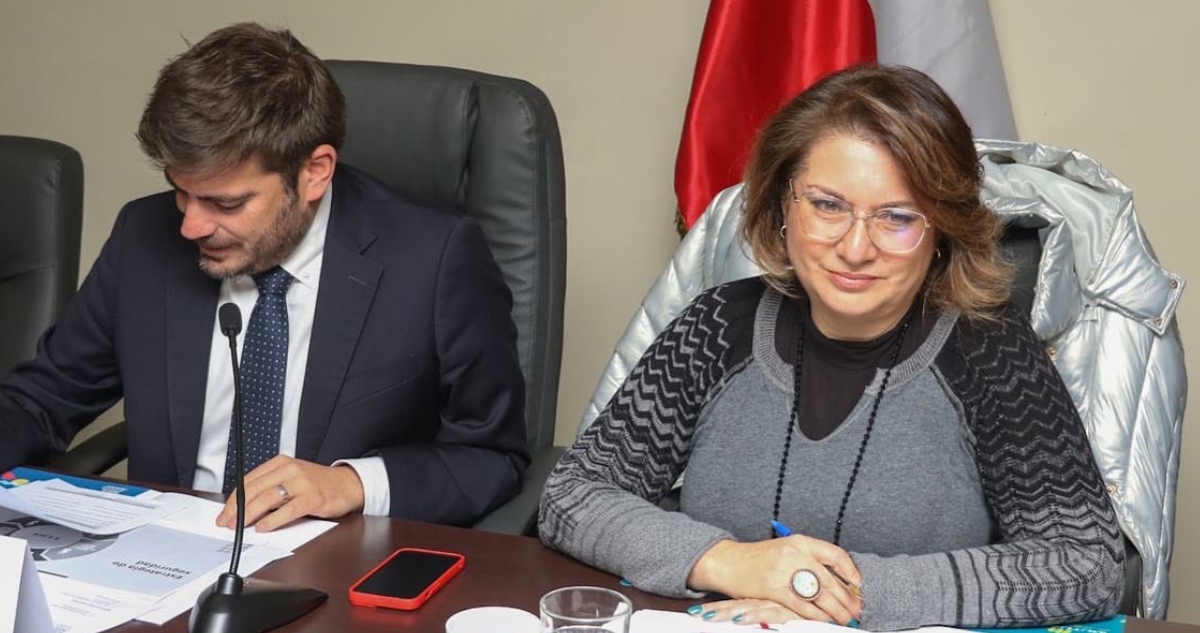 Delegación Presidencial Provincial de Malleco – X