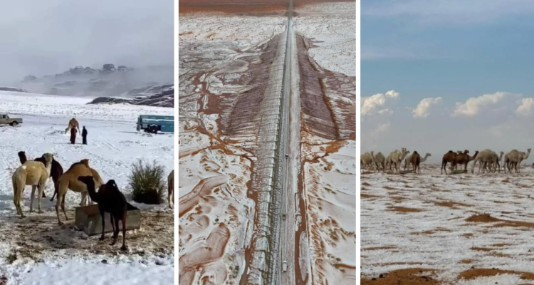 Desierto de Al-Jawf en Arabia Saudita, se cubre completamente de nieve por primera vez en la historia