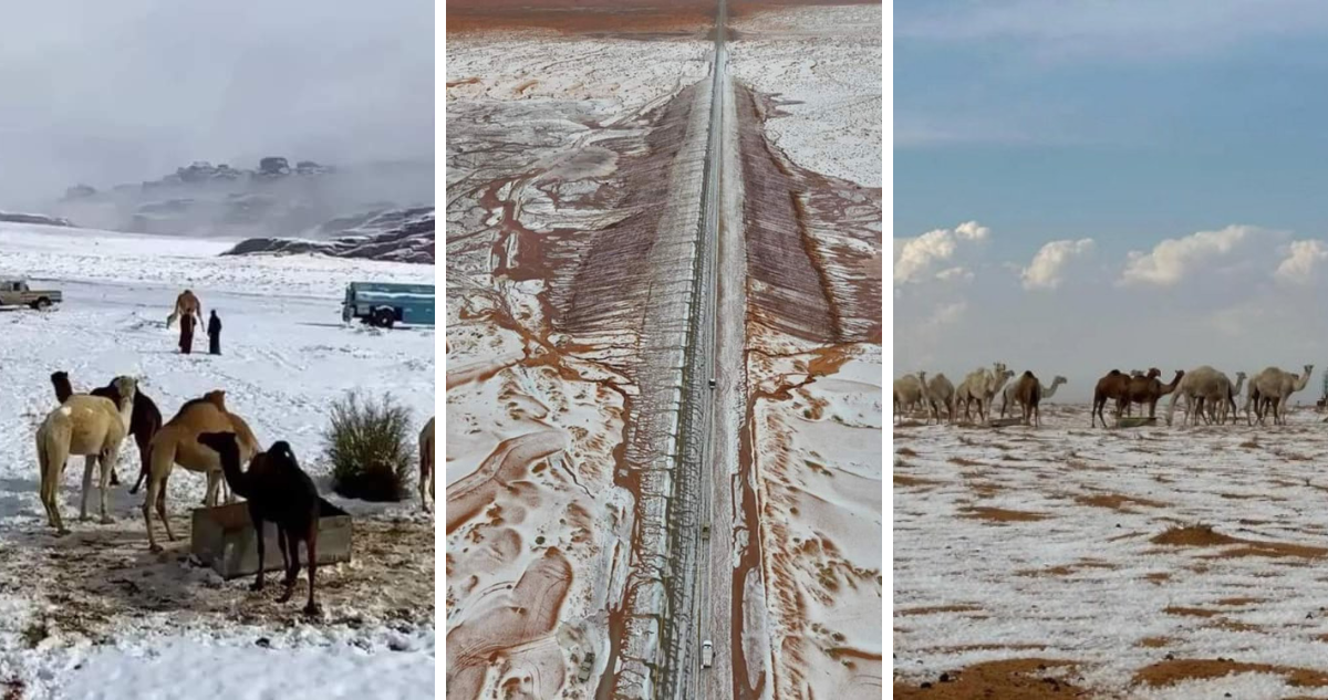 Desierto de Al-Jawf en Arabia Saudita, se cubre completamente de nieve por primera vez en la historia