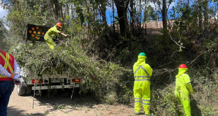 Bío Bío: despejarán cerca de 700 kilómetros de cortafuego para prevenir incendios forestales