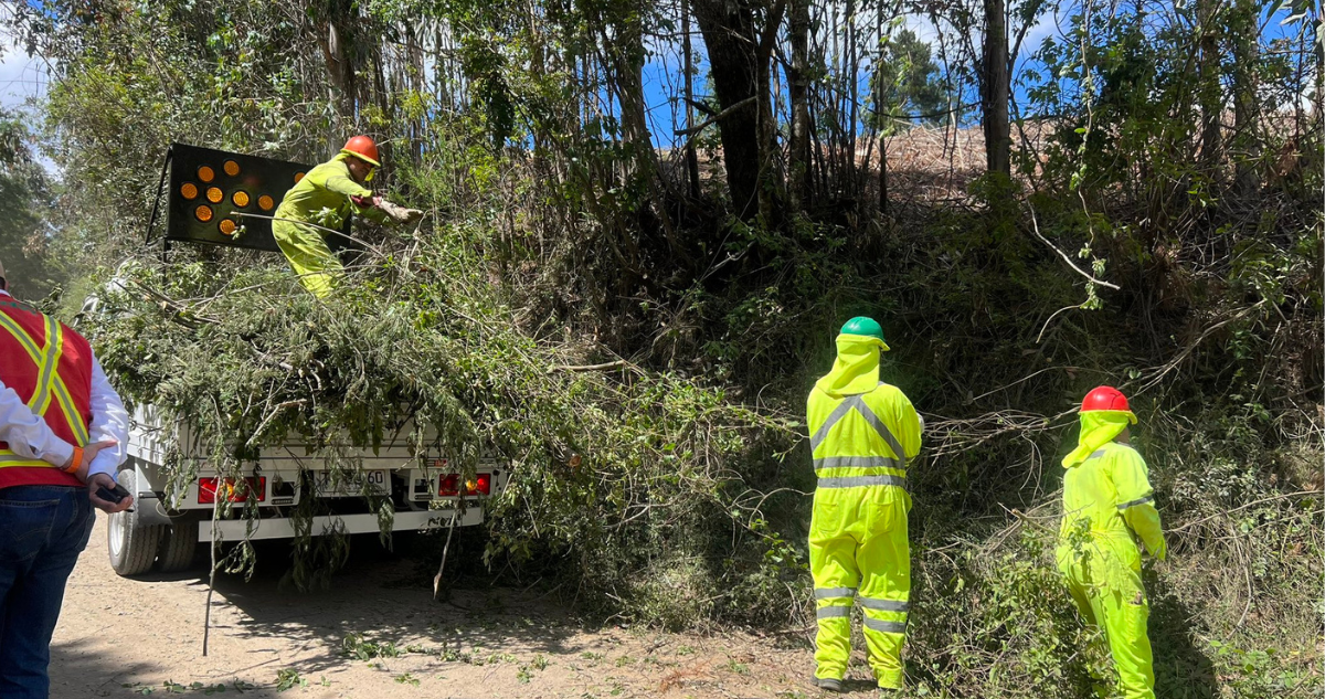 Despeje de cortafuego para prevenir incendios en el Bío Bío