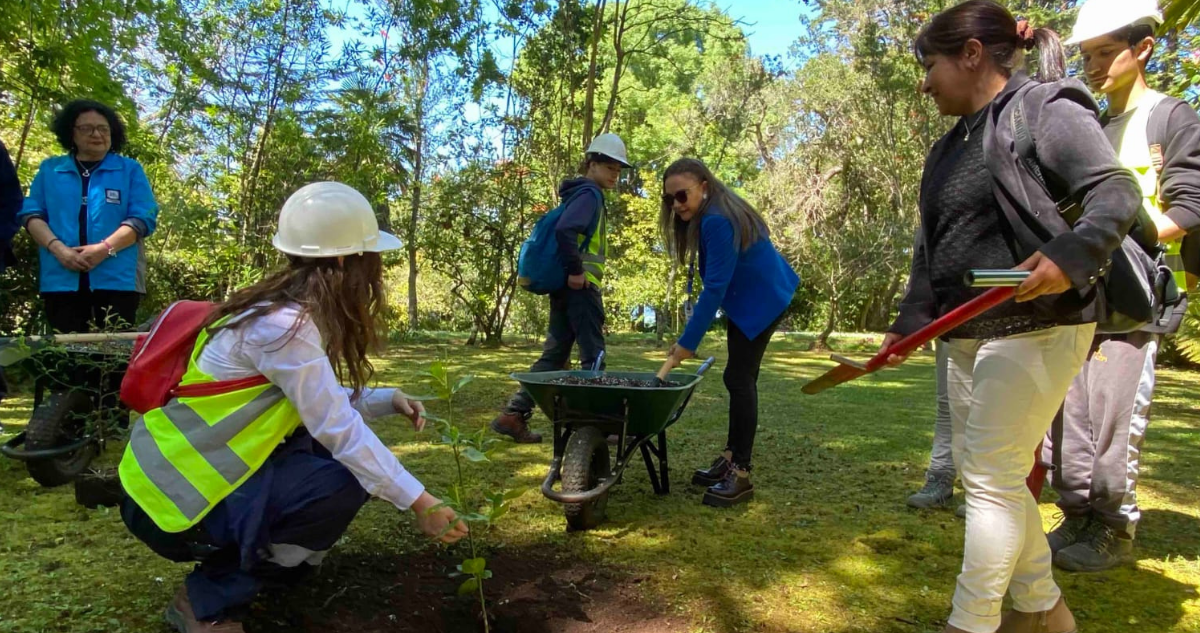 Detallan reforestación del Parque de Lota tras daños por lluvias: plantarán 50 especies nativas