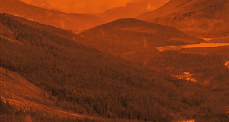 Detalle de la portada de Mística para Principiantes de Patricia Cerda,  Ediciones del Gato