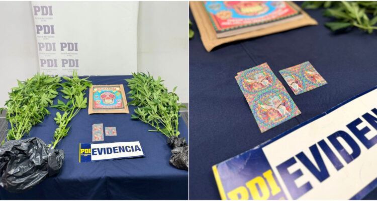 Detectan en Aeropuerto de Santiago 300 estampillas de LSD en libro enviado desde México: un detenido