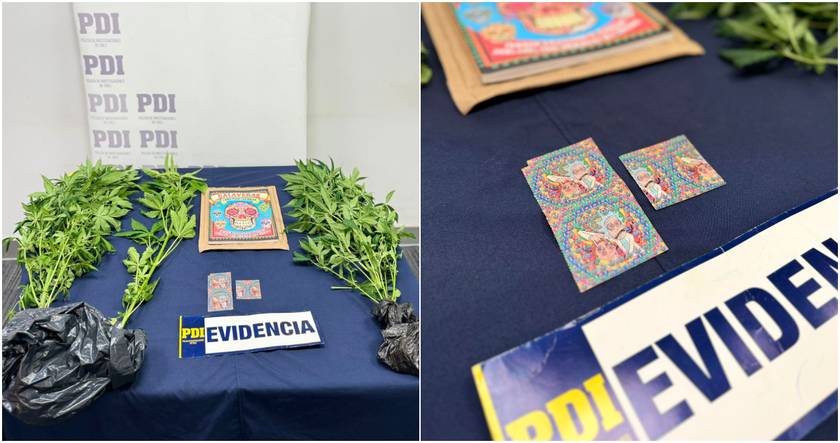Detectan en Aeropuerto de Santiago 300 estampillas de LSD en libro enviado desde México: un detenido