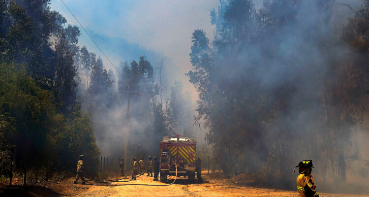 Diez incendios forestales se combaten en el país: región de Valparaíso concentra los de mayor magnitud