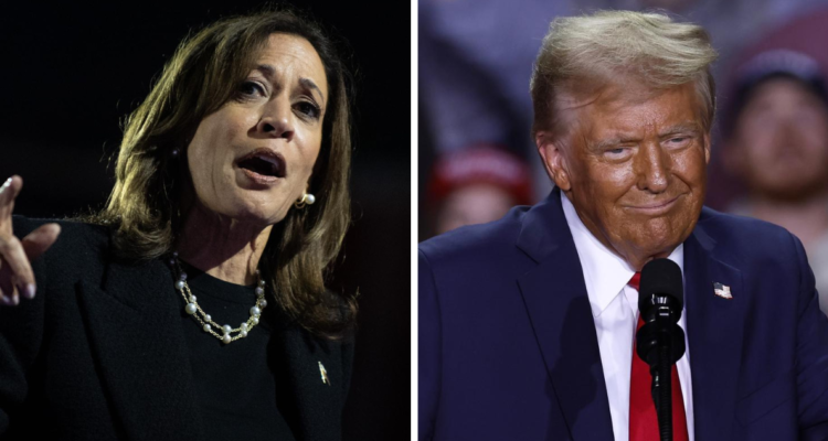 Estados Unidos: Harris y Trump disputan una de las elecciones más reñidas de la historia