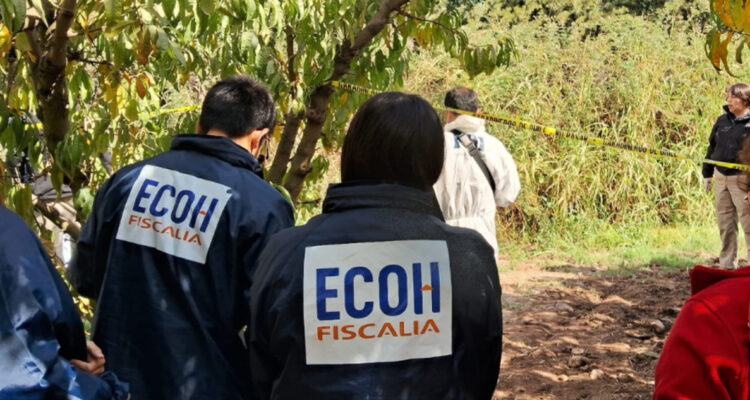 Investigan hallazgo de cadáver en Maipú: mantendría lesiones atribuibles a terceras personas