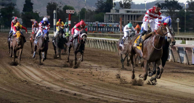 Hipódromo Chile amplía plazo de inscripciones para jornada de carreras por falta de participantes