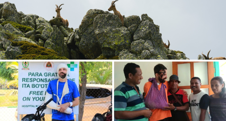 Hombre asegura que un grupo de cabras salvajes le salvó la vida