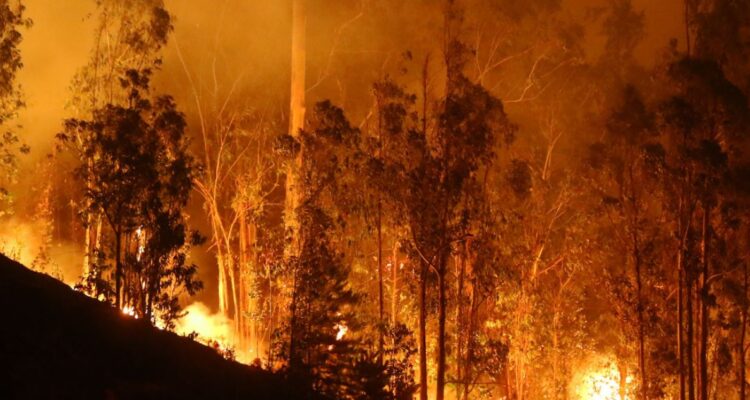 Grupo transversal de diputados presenta proyecto para endurecer sanción a quienes ocasionen incendios