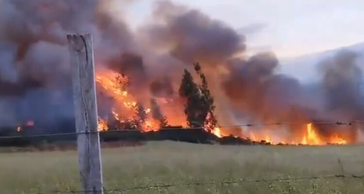 Alerta Roja en Carahue por incendio forestal con 