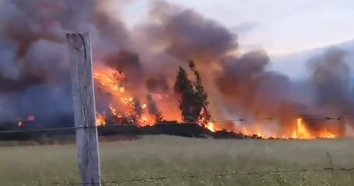 Incendio forestal en Carahue