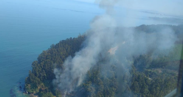 Incendio forestal en Lota