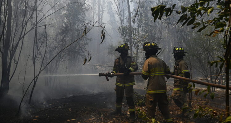 Senapred declara Alerta Roja en Quilpué por incendio forestal: Santo Domingo se mantiene en Amarilla