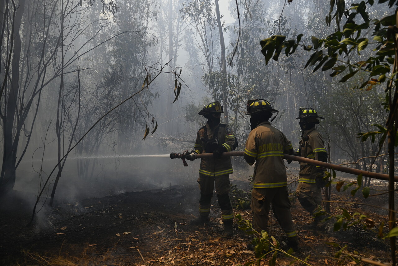 Imagen de contexto por incendios forestales en la Región de Valparaíso.