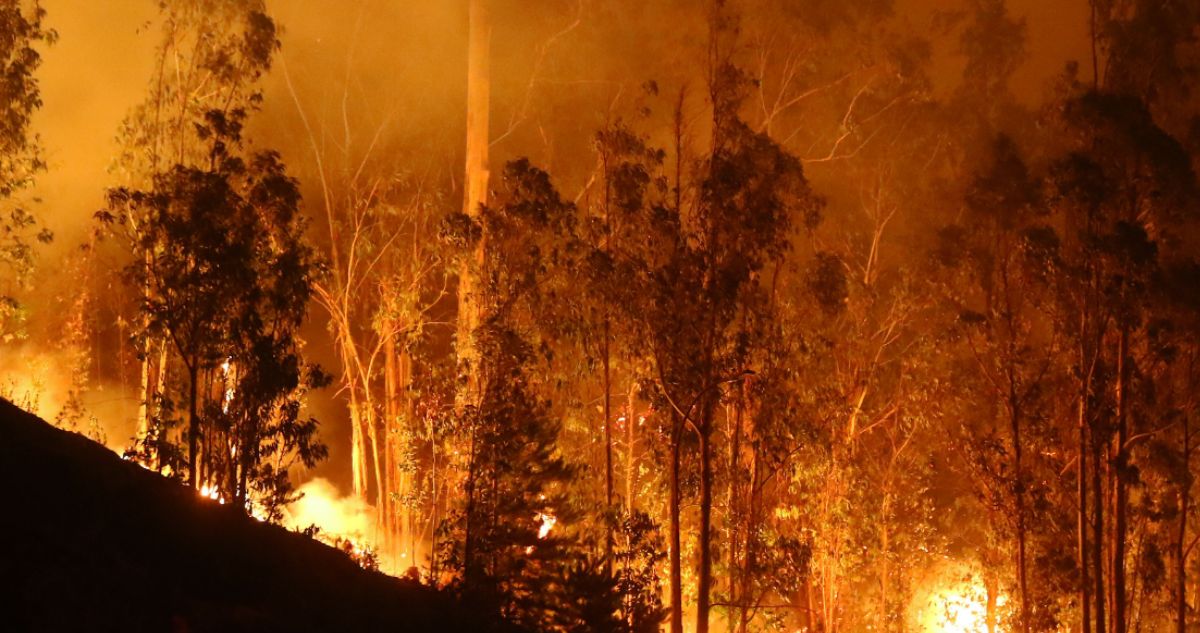 Grupo transversal de diputados presenta proyecto para endurecer sanción a quienes ocasionen incendios