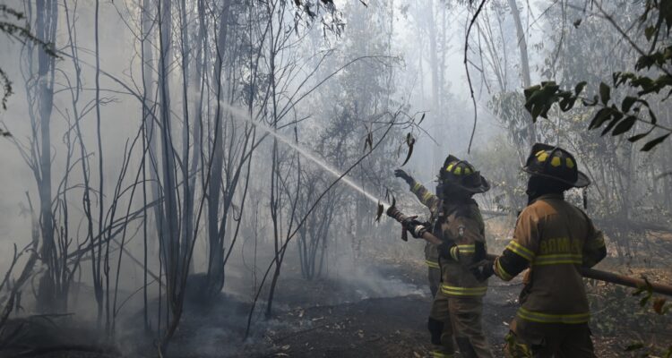 350 hectáreas afectadas y cuatro detenidos dejan incendios forestales en la región de Valparaíso