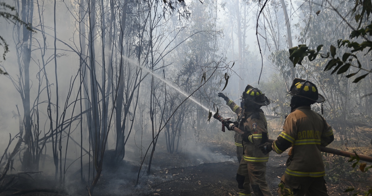 Incendios forestales en Valparaíso
